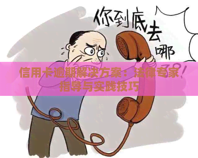 信用卡逾期解决方案：法律专家指导与实践技巧