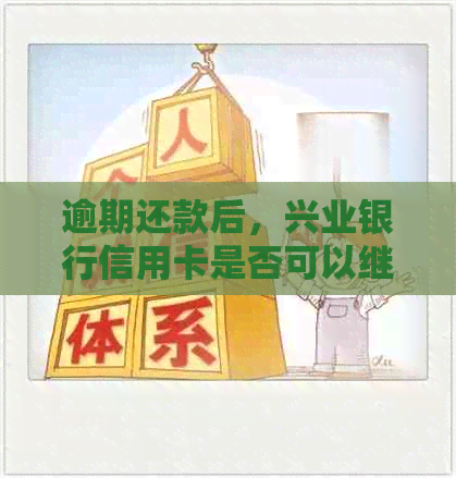 逾期还款后，兴业银行信用卡是否可以继续使用？20天后的逾期还款如何处理？