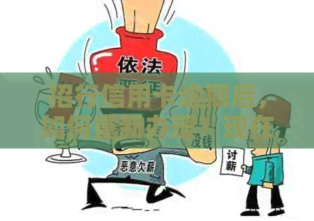 招行信用卡逾期后，如何重新办理？现在是否合适？