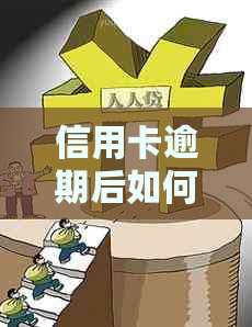 信用卡逾期后如何重新获得信用？