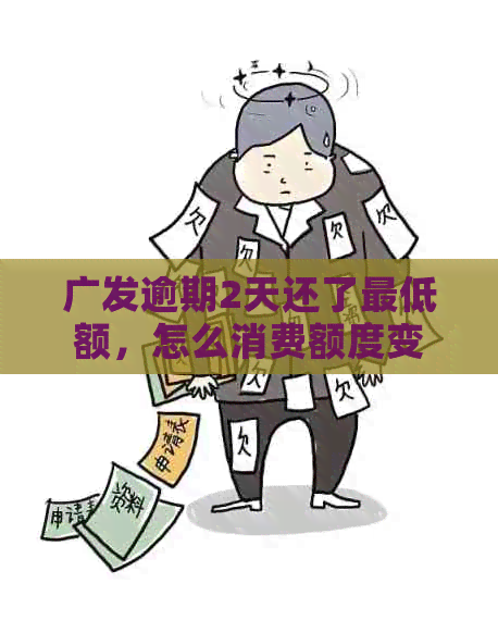 广发逾期2天还了更低额，怎么消费额度变几十元了？全额还款后额度被降8元