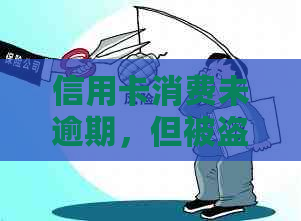 信用卡消费未逾期，但被盗刷后是否会产生影响？解答信用卡安全问题