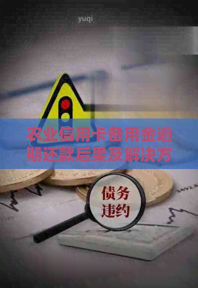 农业信用卡备用金逾期还款后果及解决方法全面解析