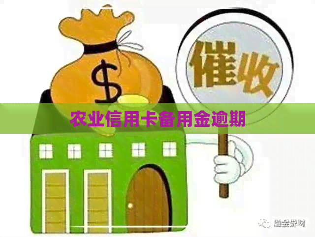 农业信用卡备用金逾期