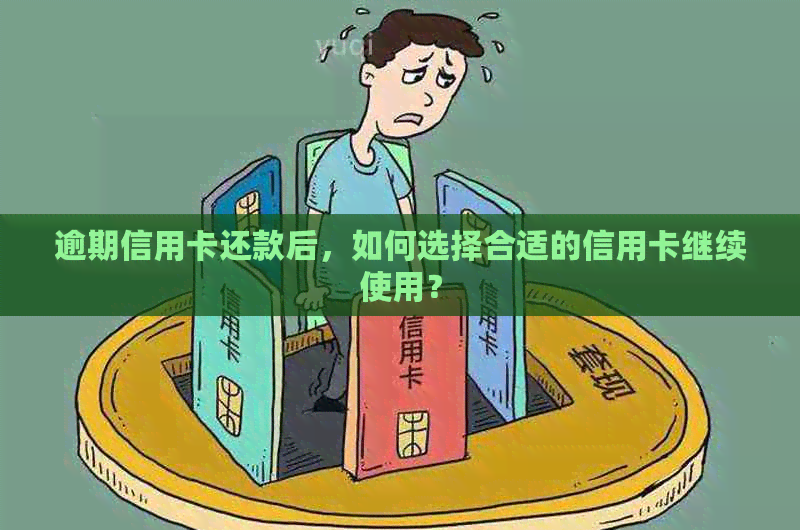 逾期信用卡还款后，如何选择合适的信用卡继续使用？