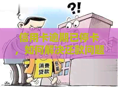 信用卡逾期已停卡，如何解决还款问题以及恢复信用？