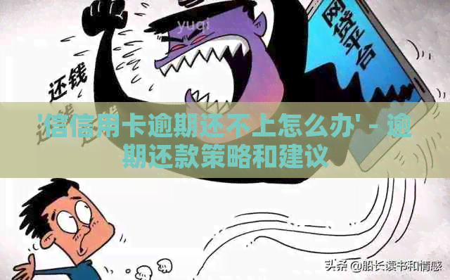 '信信用卡逾期还不上怎么办' - 逾期还款策略和建议