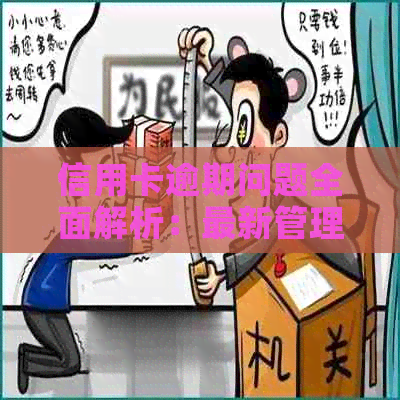 信用卡逾期问题全面解析：最新管理办法、预防措及解决方案一览