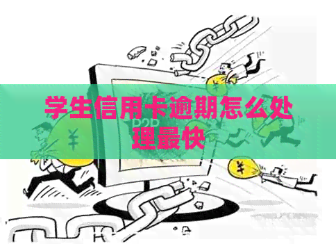 学生信用卡逾期怎么处理最快