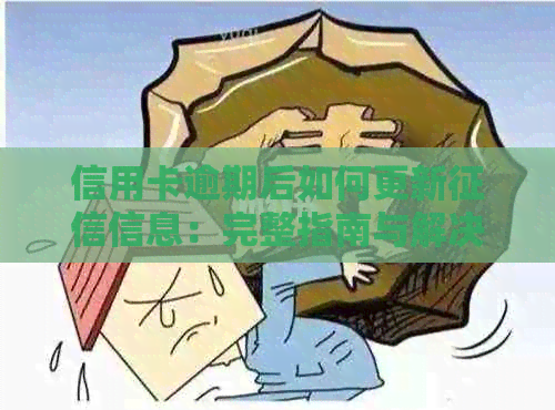信用卡逾期后如何更新信息：完整指南与解决方案