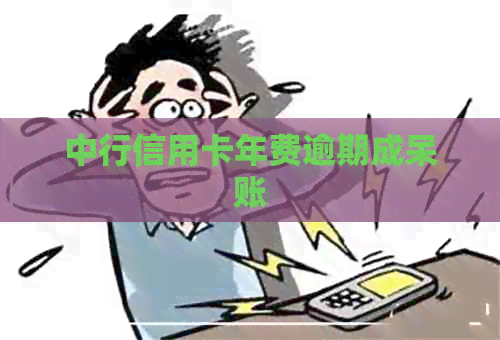 中行信用卡年费逾期成呆账
