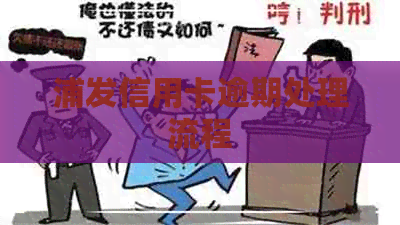 浦发信用卡逾期处理流程