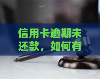 信用卡逾期未还款，如何有效申请非恶意逾期证明？了解详细步骤和注意事项