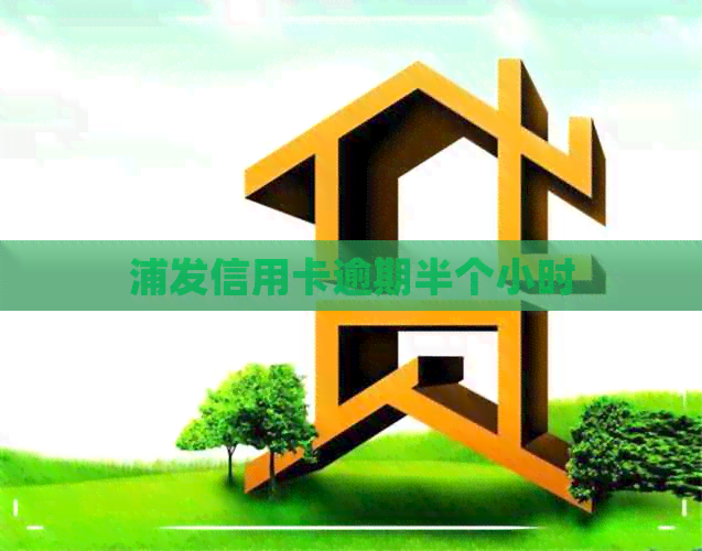 浦发信用卡逾期半个小时