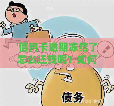 '信用卡逾期冻结了怎么还钱呢？如何解冻并恢复使用？'