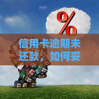 信用卡逾期未还款，如何妥善应对电话？