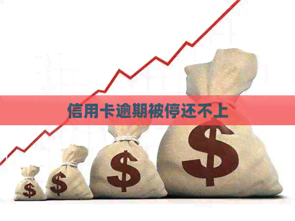 信用卡逾期被停还不上