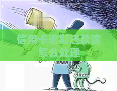 信用卡逾期还款该怎么处理