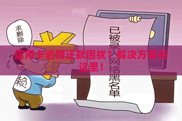 信用卡逾期还款困扰？解决方案在这里！