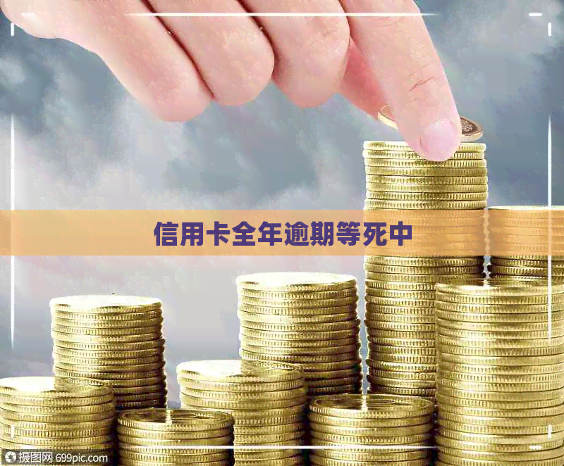 信用卡全年逾期等死中