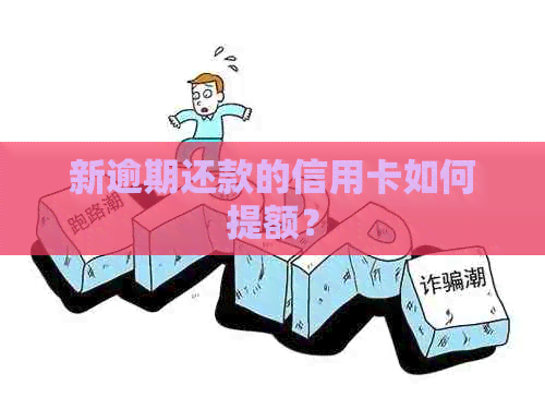 新逾期还款的信用卡如何提额？