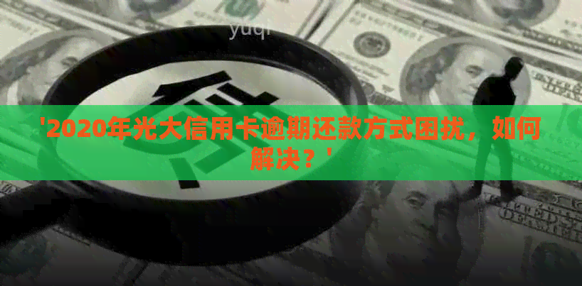 '2020年光大信用卡逾期还款方式困扰，如何解决？'