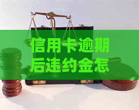 信用卡逾期后违约金怎么算：利息、总额与日息计算方式详解