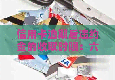 信用卡逾期后违约金的收取时限：六个月是唯一选择吗？