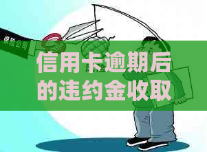 信用卡逾期后的违约金收取频率：一个全面的解答