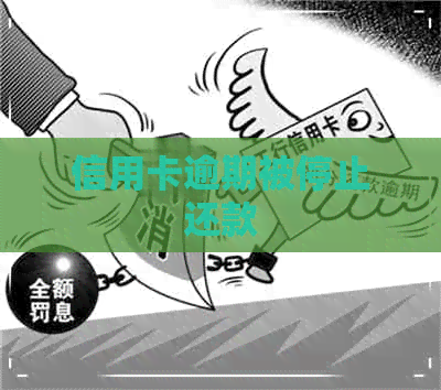 信用卡逾期被停止还款