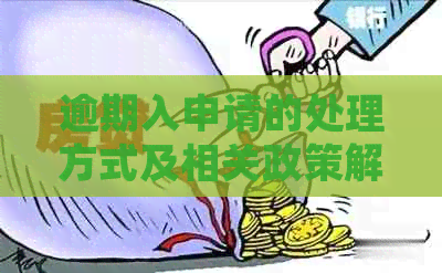 逾期入申请的处理方式及相关政策解读