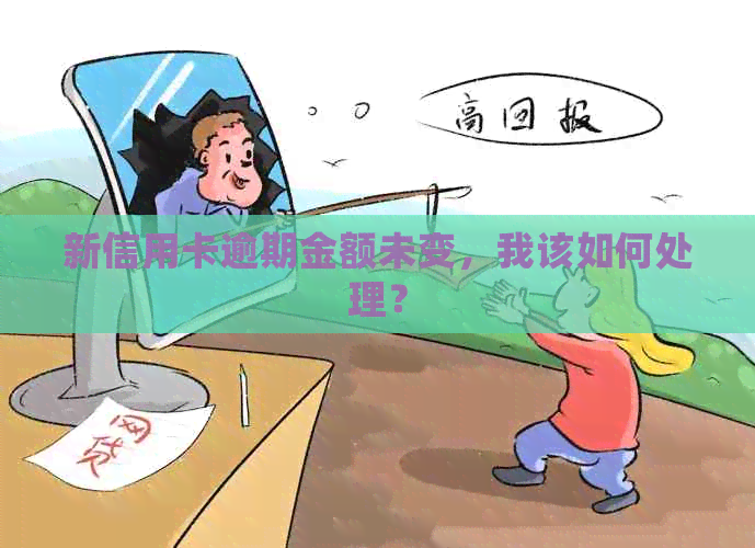 新信用卡逾期金额未变，我该如何处理？