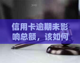 信用卡逾期未影响总额，该如何处理？解决用户疑虑的全面指南