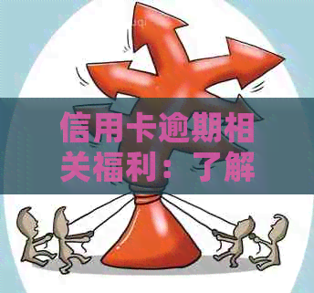 信用卡逾期相关福利：了解还款优政策，享受免费礼品和优活动