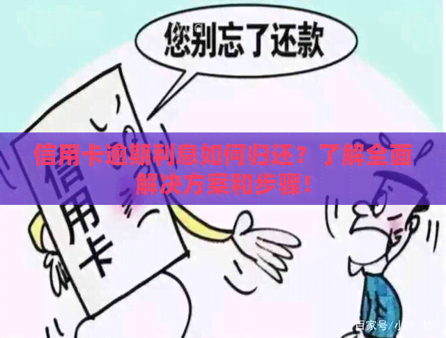 信用卡逾期利息如何归还？了解全面解决方案和步骤！