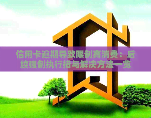 信用卡逾期导致限制高消费：后续强制执行措与解决方法一览