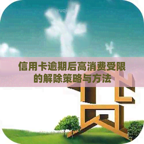 信用卡逾期后高消费受限的解除策略与方法