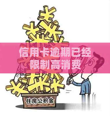 信用卡逾期已经限制高消费