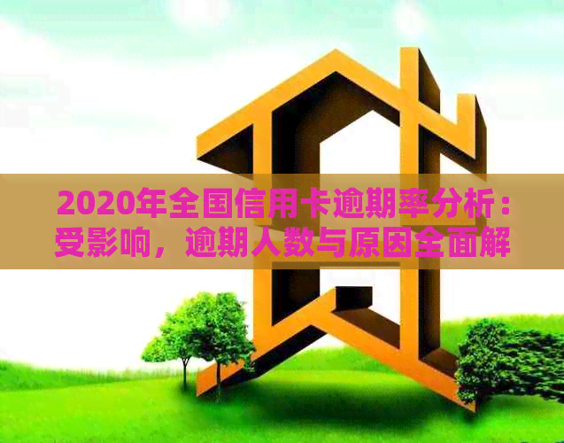 2020年全国信用卡逾期率分析：受影响，逾期人数与原因全面解析