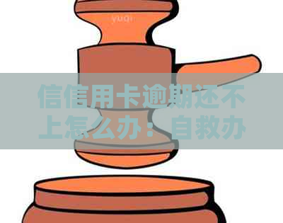 信信用卡逾期还不上怎么办：自救办法与影响分析-欠信用卡逾期还不上怎么办