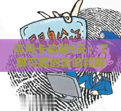 信用卡逾期5天：了解可能的影响和解决方案，金额较小是否需要担心？