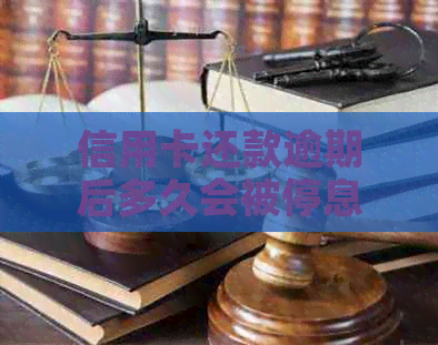 信用卡还款逾期后多久会被停息？如何避免逾期导致的信用损失？