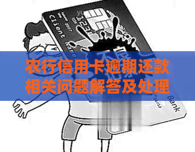 农行信用卡逾期还款相关问题解答及处理建议