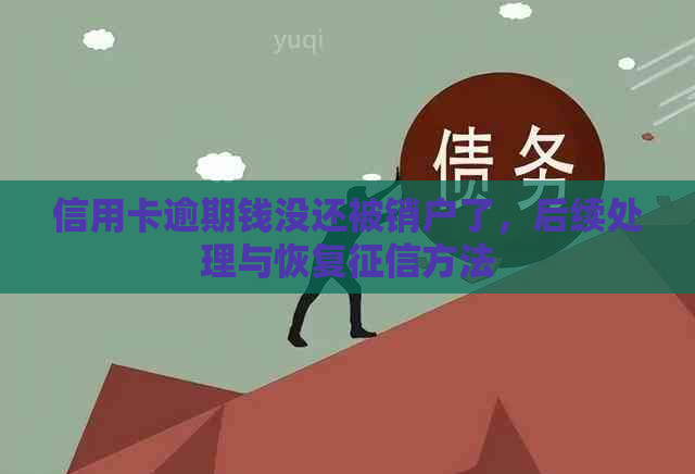 信用卡逾期钱没还被销户了，后续处理与恢复方法