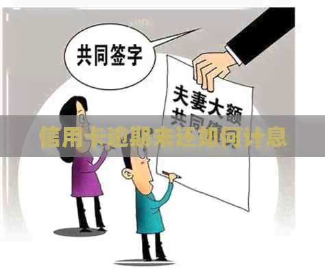 信用卡逾期未还如何计息