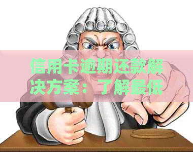 信用卡逾期还款解决方案：了解更低还款额、利息退费及相关注意事项