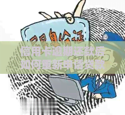 信用卡逾期还款后如何重新申请贷款的步骤与技巧