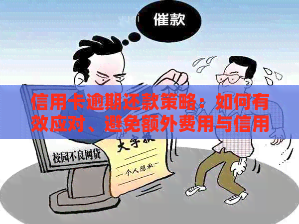 信用卡逾期还款策略：如何有效应对、避免额外费用与信用损失的全面指南