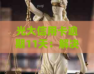 光大信用卡逾期11天：解决策略与影响分析