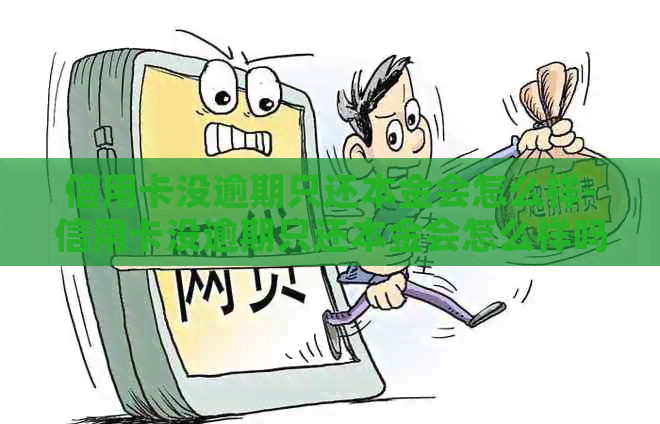 信用卡没逾期只还本金会怎么样-信用卡没逾期只还本金会怎么样吗